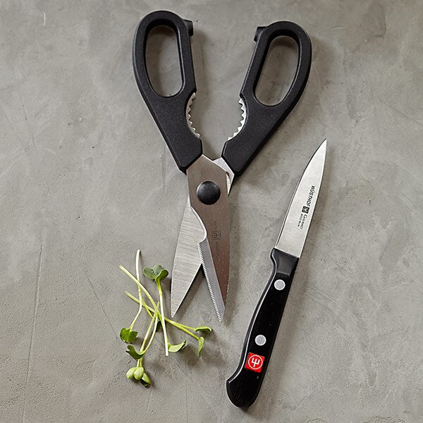 Kitchen Shears