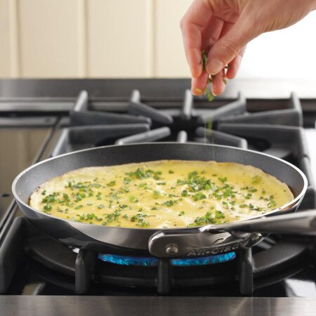 All Clad D5 Stainless Steel Nonstick Omelette Pan 23cm Williams Sonoma Au