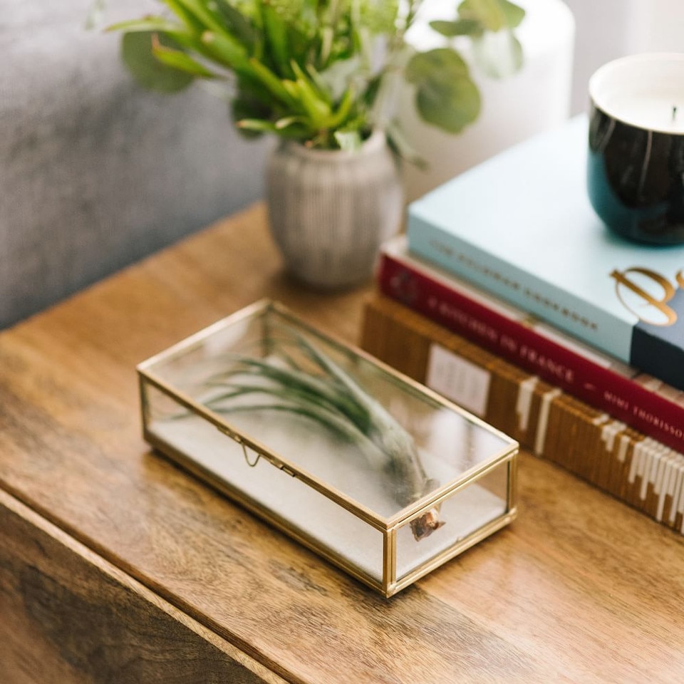 West Elm Glass Shadow Boxes