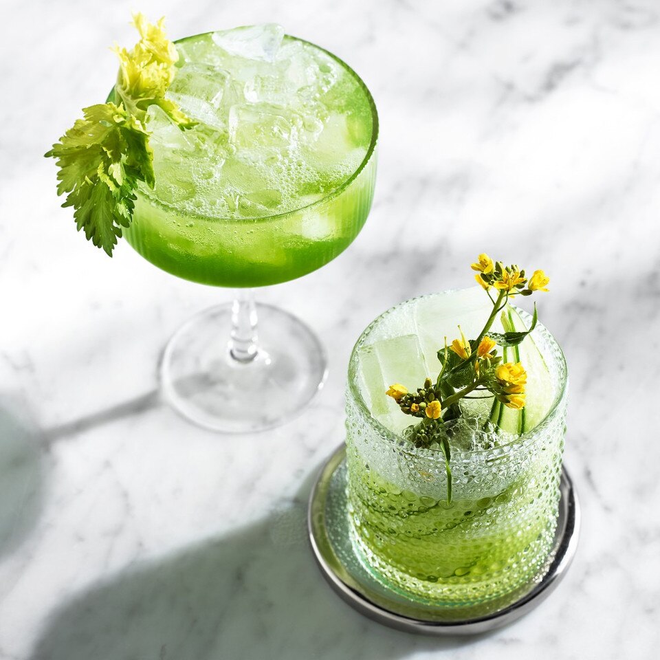 Modern Optic Coupe Glasses