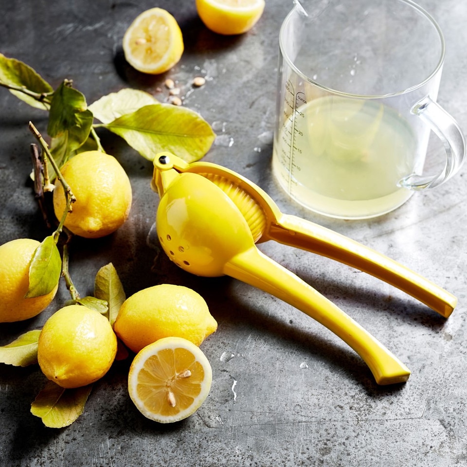Williams Sonoma Open Kitchen Lemon Press