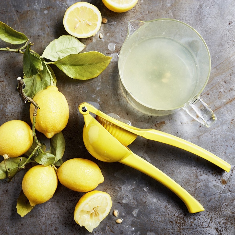 Williams Sonoma Open Kitchen Lemon Press