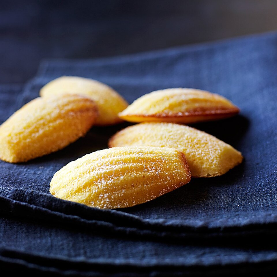 Williams Sonoma Goldtouch® Pro Non-Stick Madeleine Pan
